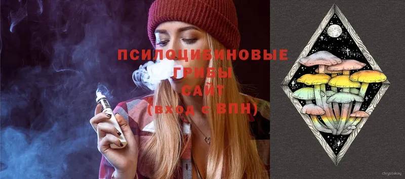 Псилоцибиновые грибы Psilocybe  Красногорск 