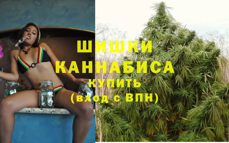 Канабис SATIVA & INDICA  Красногорск 